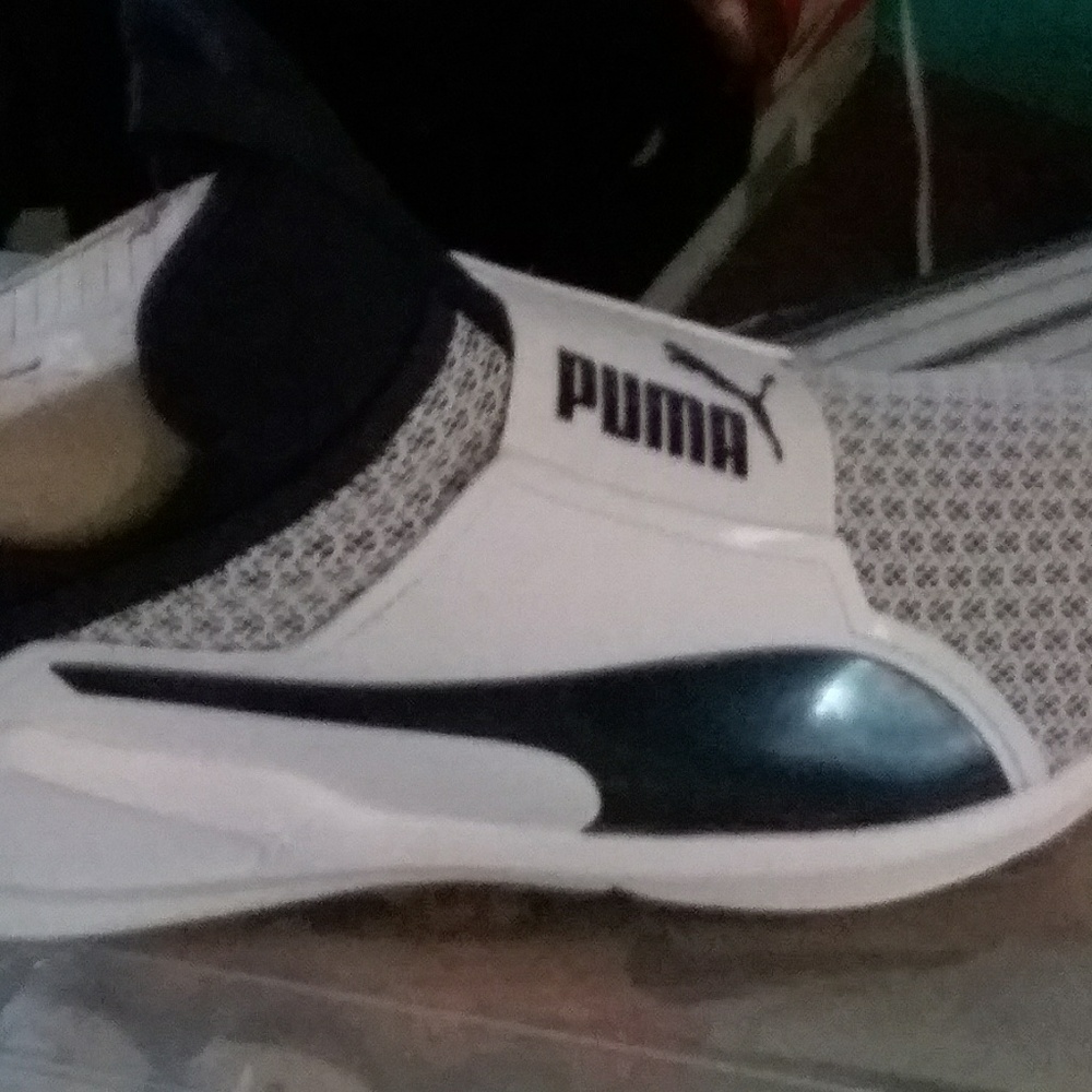 Puma
